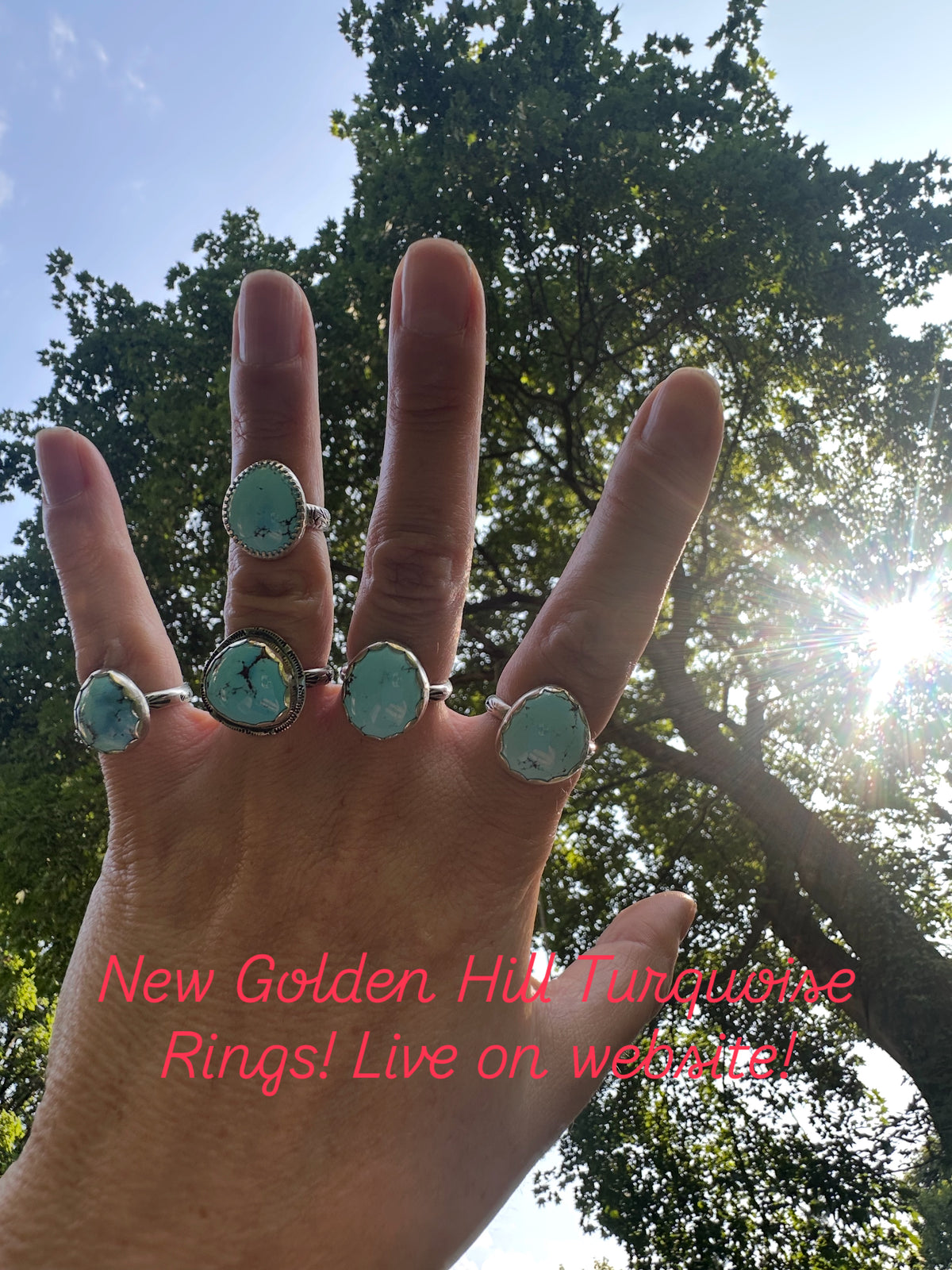 Golden Hill Turquoise Ring size 8