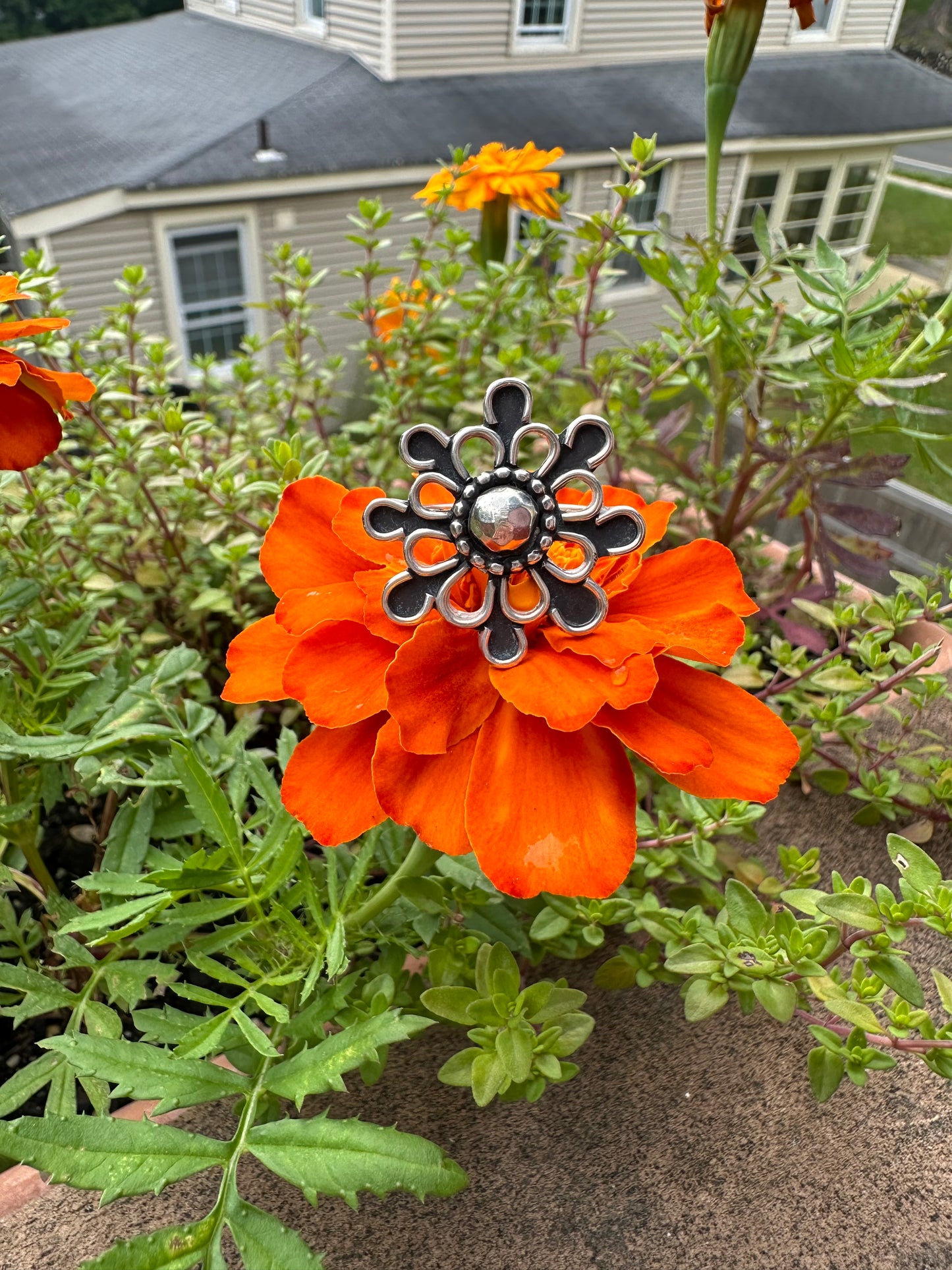 Marigold Ring