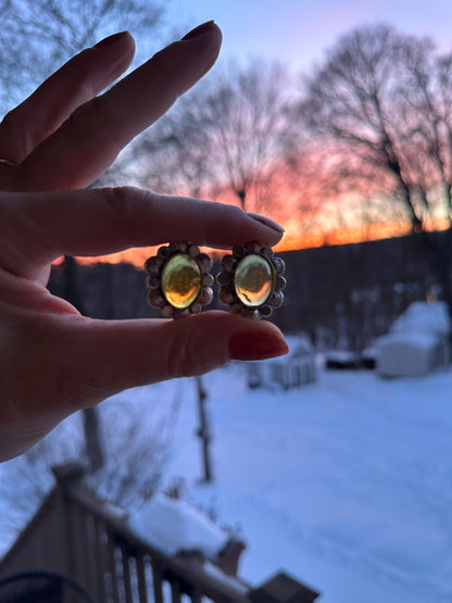 Golden Amber Shell earrings
