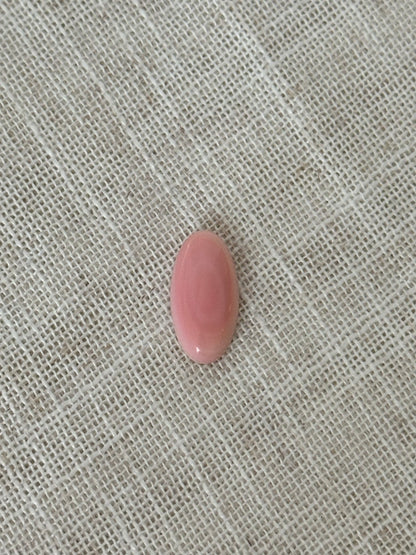 Pink Conch Shell Lasso Ring  F~T~S