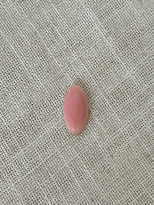 Pink Conch Shell Lasso Ring  F~T~S