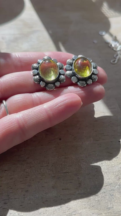 Golden Amber Shell earrings